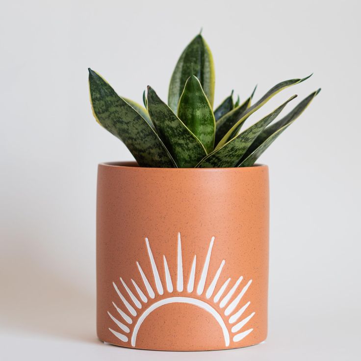 product-6